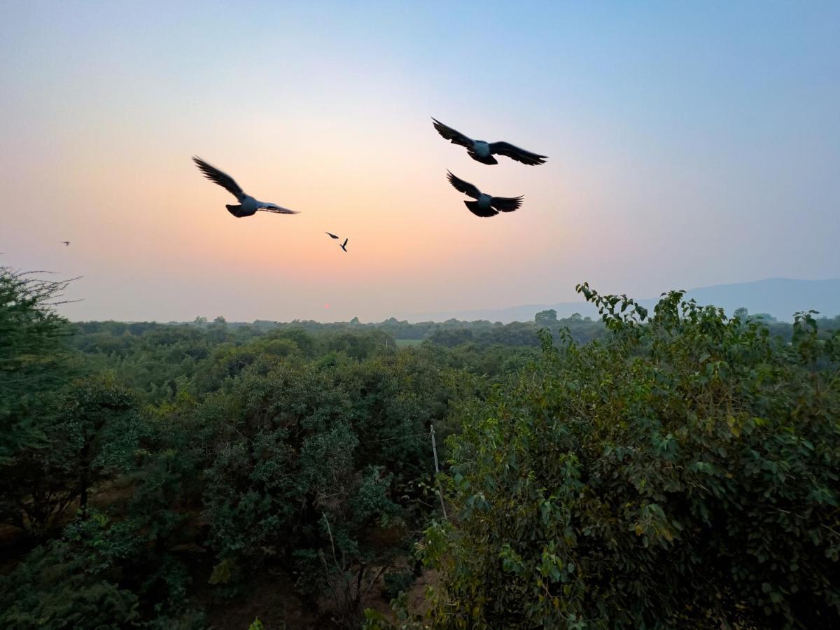 Joy Bagh Resort Pushkar Bagian luar foto
